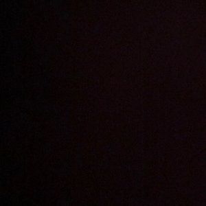 Meet your Posher, Shyla